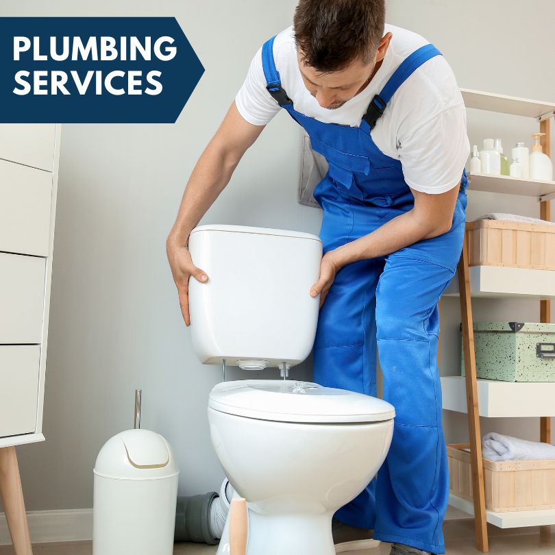 Plumbing Company in Marble Hill, GA